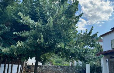 La Villa De Rosses- Sana Halkidiki - Foto 42