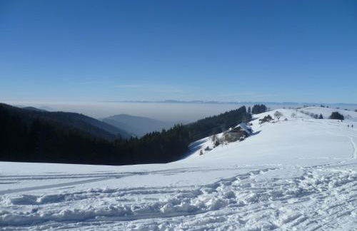 Appart'Hôtel LIDO au bord de l'eau - Foto 10