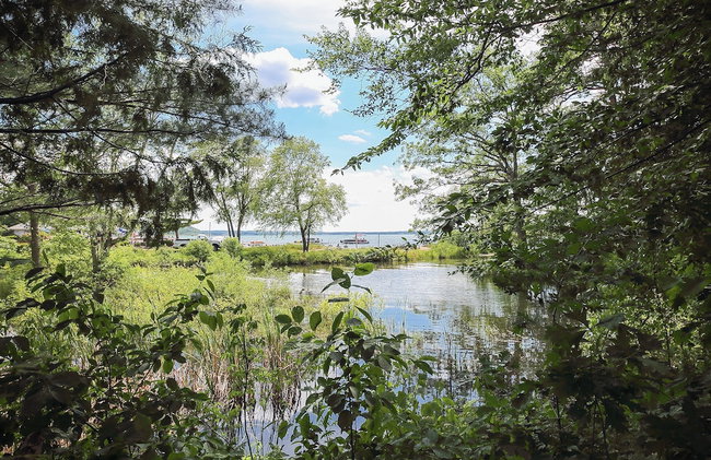 The Shores Lake View Condo Unit 5658 - Foto 11