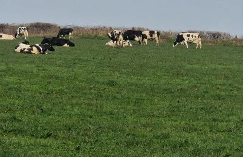 Cosy rustic cabin with hot tub and country views - Foto 32