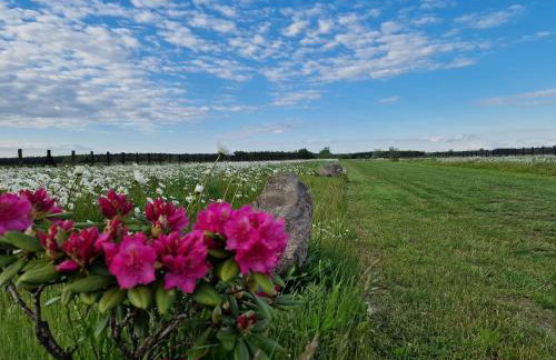 GRETA Nowoczesny domek modułowy nad stawem - Foto 54