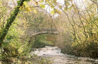 Afonfa - Llanuwchllyn - Foto 16