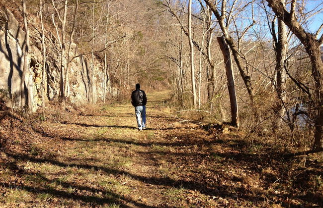 DeHart Cabin - Foto 6