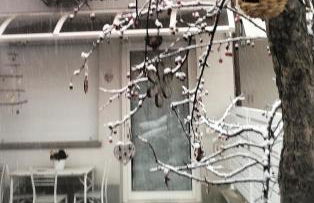 BHH Appartamento Signorini Bologna -wwwbolognaholidayhomecom- Parcheggio Riservato e Giardino - Holiday House Bologna Garden Parking - Foto 14