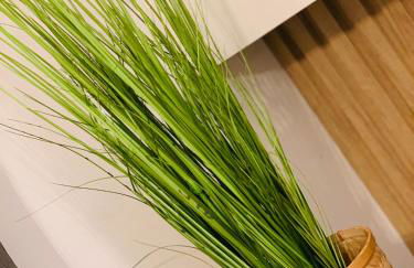 Elegant Apartment Keramoti - Photo 14