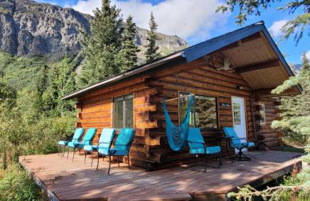 Little Bear Getaway Cabins - Foto 29