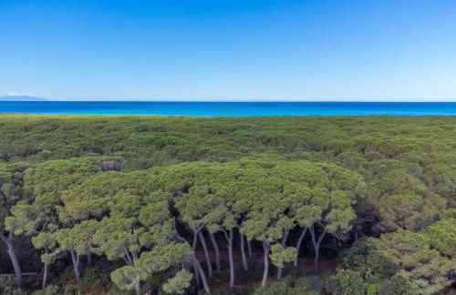 Apartment MaPo by Interhome - Foto 65