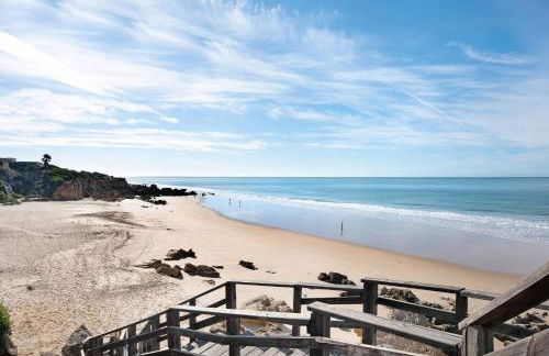 El Mirlito - Foto 25