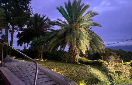 Style Suites - Photo 1