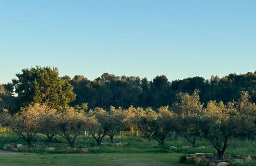 Superbe Mas Provençal rénové avec piscine, billard et climatisation à Paradou - Foto 18
