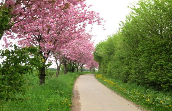 Fordehus Modern Retreat - Photo 36