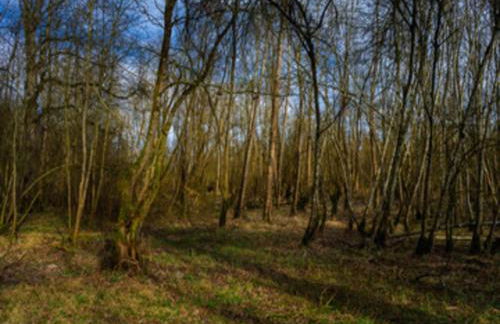 Wohnung im Teutoburger Wald Externsteine - Foto 50