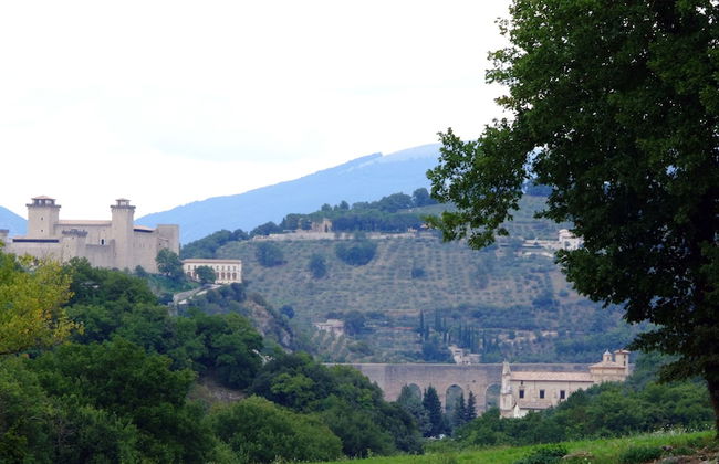 Valle Rosa - Photo 55