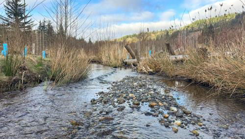 Nature Art Retreat on Breckenridge Creek with Pond! - Foto 4