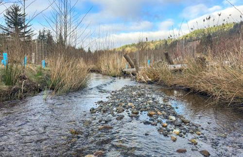 Nature Art Retreat on Breckenridge Creek with Pond! - Foto 4