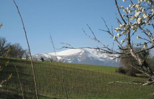 Agriturismo SPA Serpanera - Photo 73