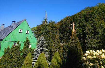 Grünes Ferienhaus - Foto 41