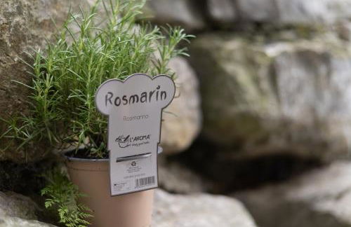 Christians Boutique Ferienapartment - Foto 12