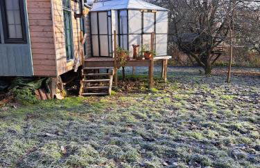 Tiny Haus - Sternenblick - Sauna - Foto 25