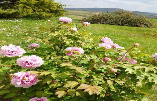 Appartement avec piscine à Montpezat-de-Quercy 40 m² - Foto 18