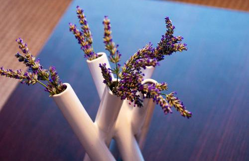 Sunny & Spacious, 2 BR apartment with free parking - Photo 5