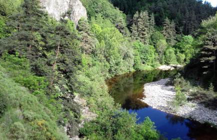 Le Petit St Jacques - Foto 10