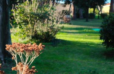 Villa Tommasini La torre - Foto 22