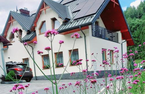 Pokoje Czajka- Agroturystyka - Photo 28