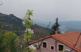 Ipati Forest Chalet - Foto 64