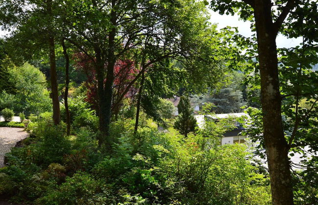 Strotzbusch Forest Hideaway - Photo 20