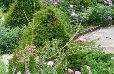 Cute cob cottage - Photo 11