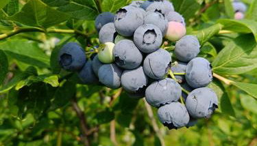 casa vacanza da ghislin - Foto 2