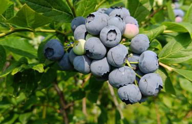 casa vacanza da ghislin - Foto 2