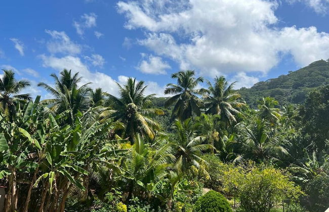 Paul's Residence - Foto 34