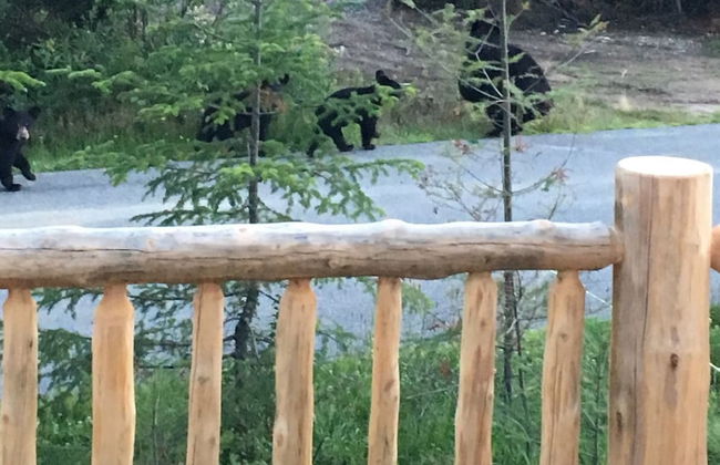 Moose Lodge and Cabins by Bretton Woods Vacations - Foto 19