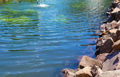 Komfort Ferienwohnungen mit Wellness-Garten - Gästehaus am Bachlauf - Losheim am See - Foto 26