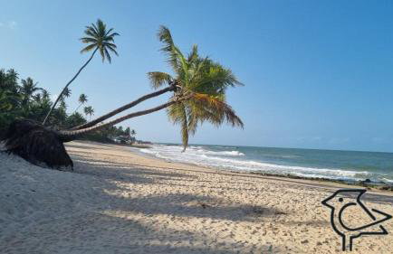 Cobertura Vista Mar Carapibus - Cariri Praia - Apartamento completo com 02 quartos - Photo 36