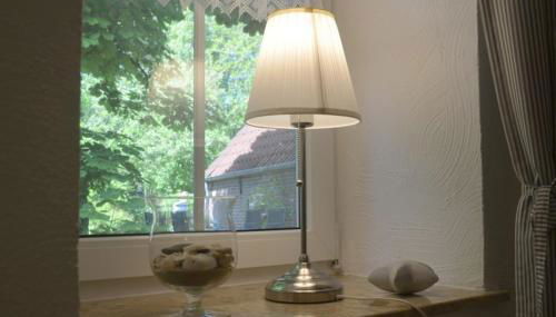 Seemöwe am Naturstrand - Foto 5