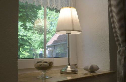 Seemöwe am Naturstrand - Foto 5