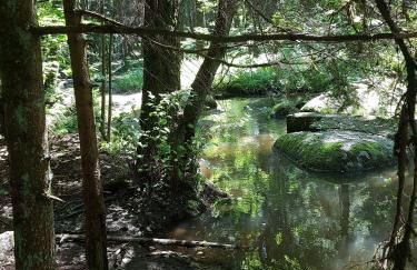 Ferienwohnung Robl - Foto 22