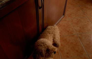 Casa Maria - Foto 24