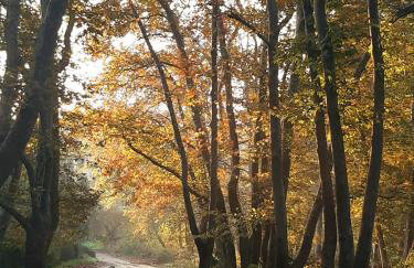 Studio Wilem - Foto 21