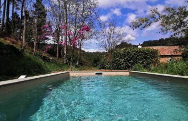 Les IRIS des Rieux - Foto 22