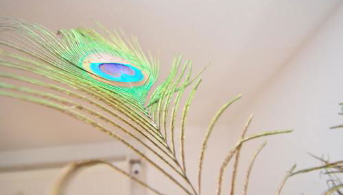 Roth 01 - Apartment für Firmen - Foto 5