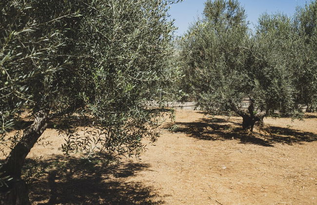 Family Summer Home near Beach - Foto 41