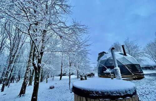 Woodland dome - Foto 28