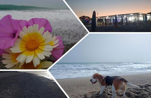 Degli Angioini Holiday Home - Foto 64