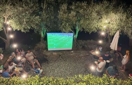 The Yellow Houses - Photo 34