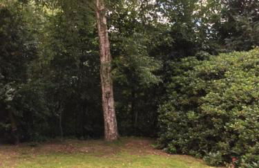 Ferienwohnung Tante Lise - Foto 48