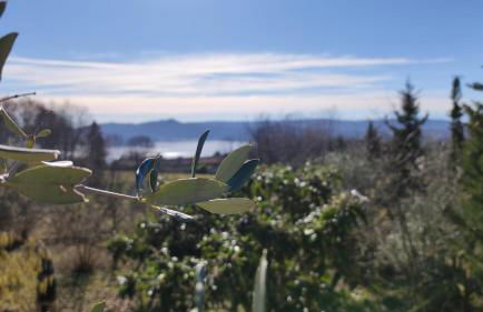 Cottage Chiera - Foto 28